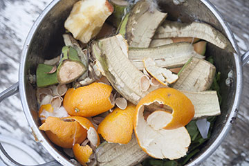 bucket of compost